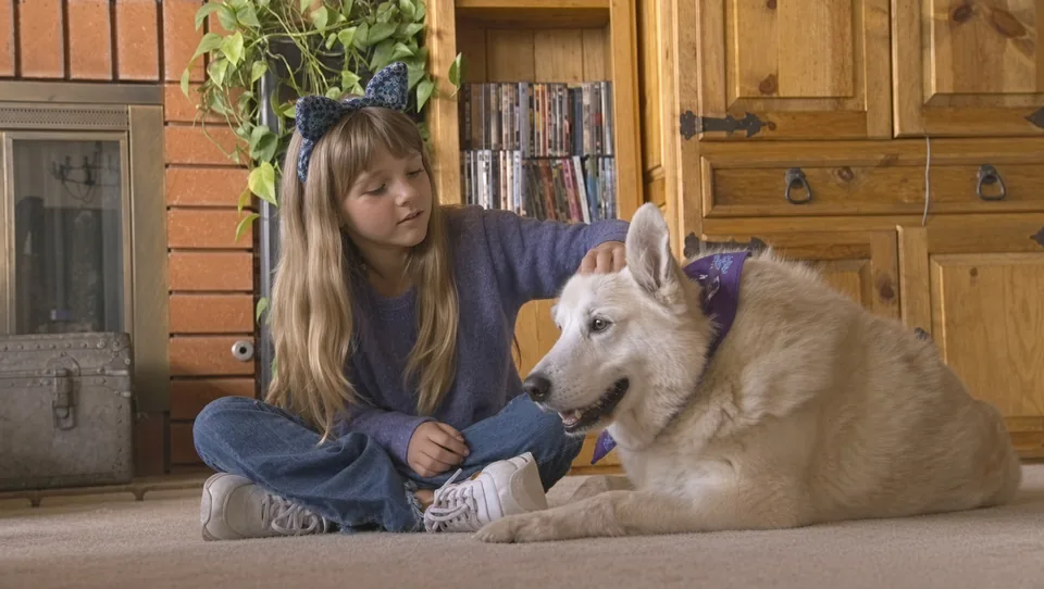 A young girl sitting cross-legged on the living-room floor, resting her hand on the head of a relaxed white shepherd dog wearing a purple bandana