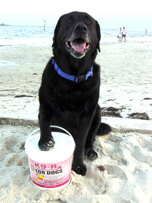 Photo submitted with Rick Radocy (for Nikken)'s K9-Rx testimonial