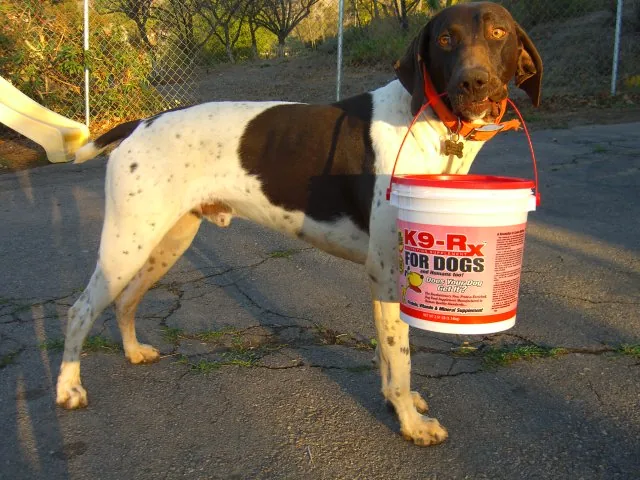 Photo submitted with Sal Filippone, Alpine, CA’s K9-Rx testimonial