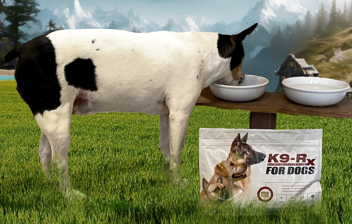 Photo submitted with James L.’s K9-Rx testimonial