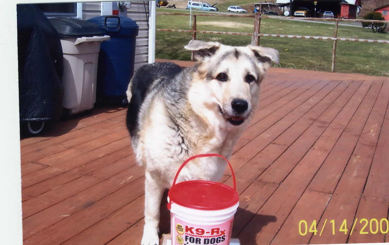 Photo submitted with The Kressler Family’s K9-Rx testimonial