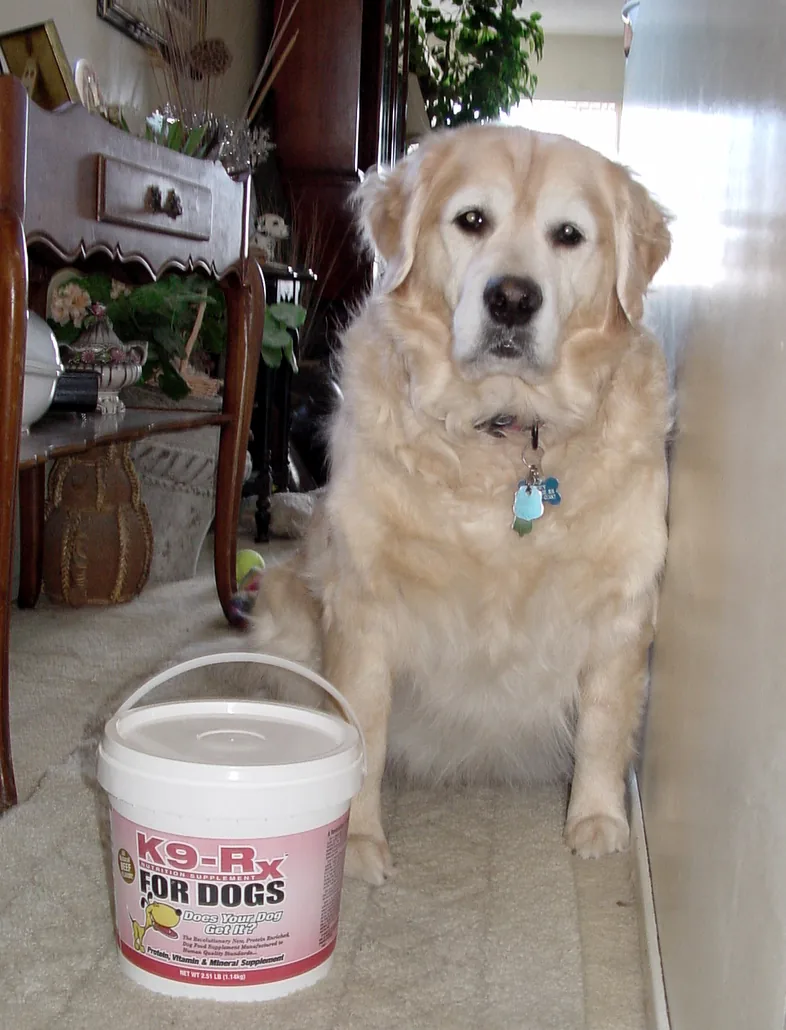 Photo submitted with Andrea Miller’s K9-Rx testimonial