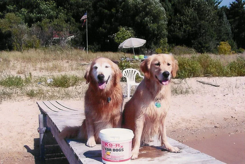 Photo submitted with Wallace Olson’s K9-Rx testimonial