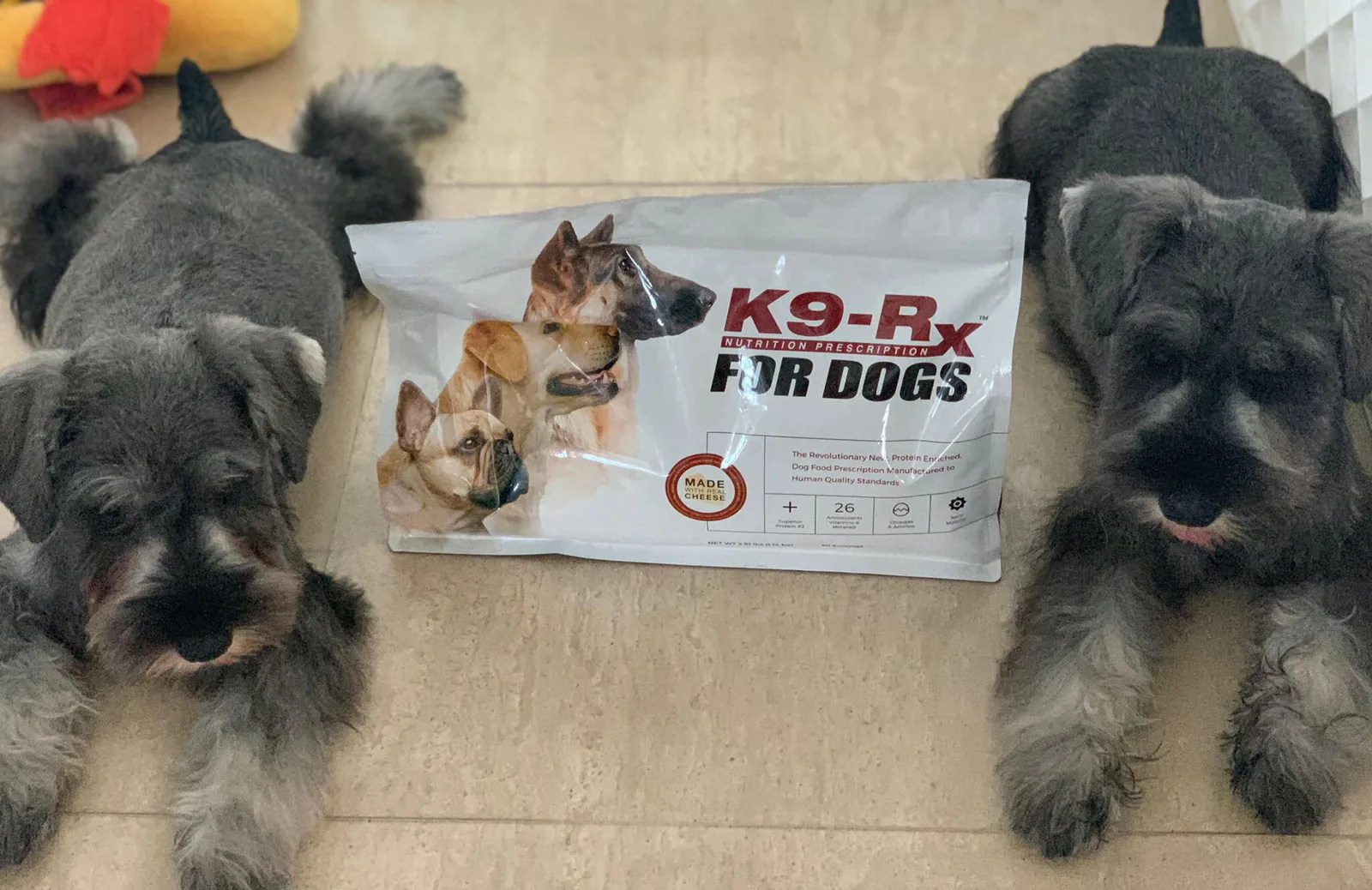 Photo submitted with Sharon Pawley’s K9-Rx testimonial