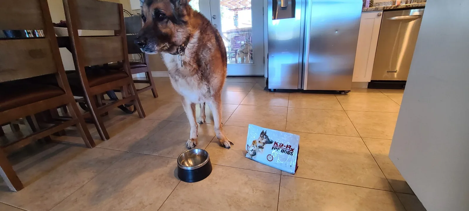 Photo submitted with Russ G.’s K9-Rx testimonial