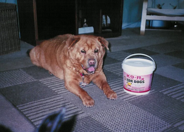 Photo submitted with Jeanine Salinas’s K9-Rx testimonial