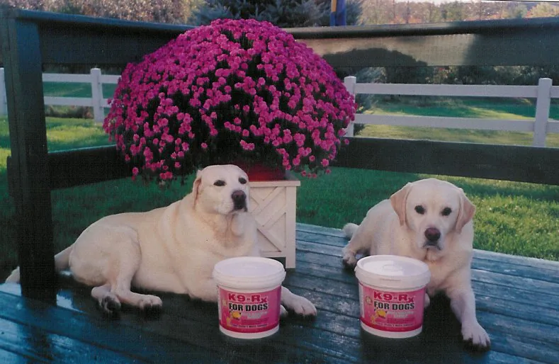 Photo submitted with Joyce Serschen’s K9-Rx testimonial