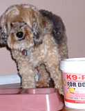 Photo submitted with Barbara Czapla's K9-Rx testimonial