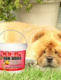 Photo submitted with R.A., Westminster CA's K9-Rx testimonial