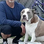 Photo submitted with Scott Redondo's K9-Rx testimonial