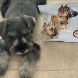 Photo submitted with Sharon Pawley's K9-Rx testimonial